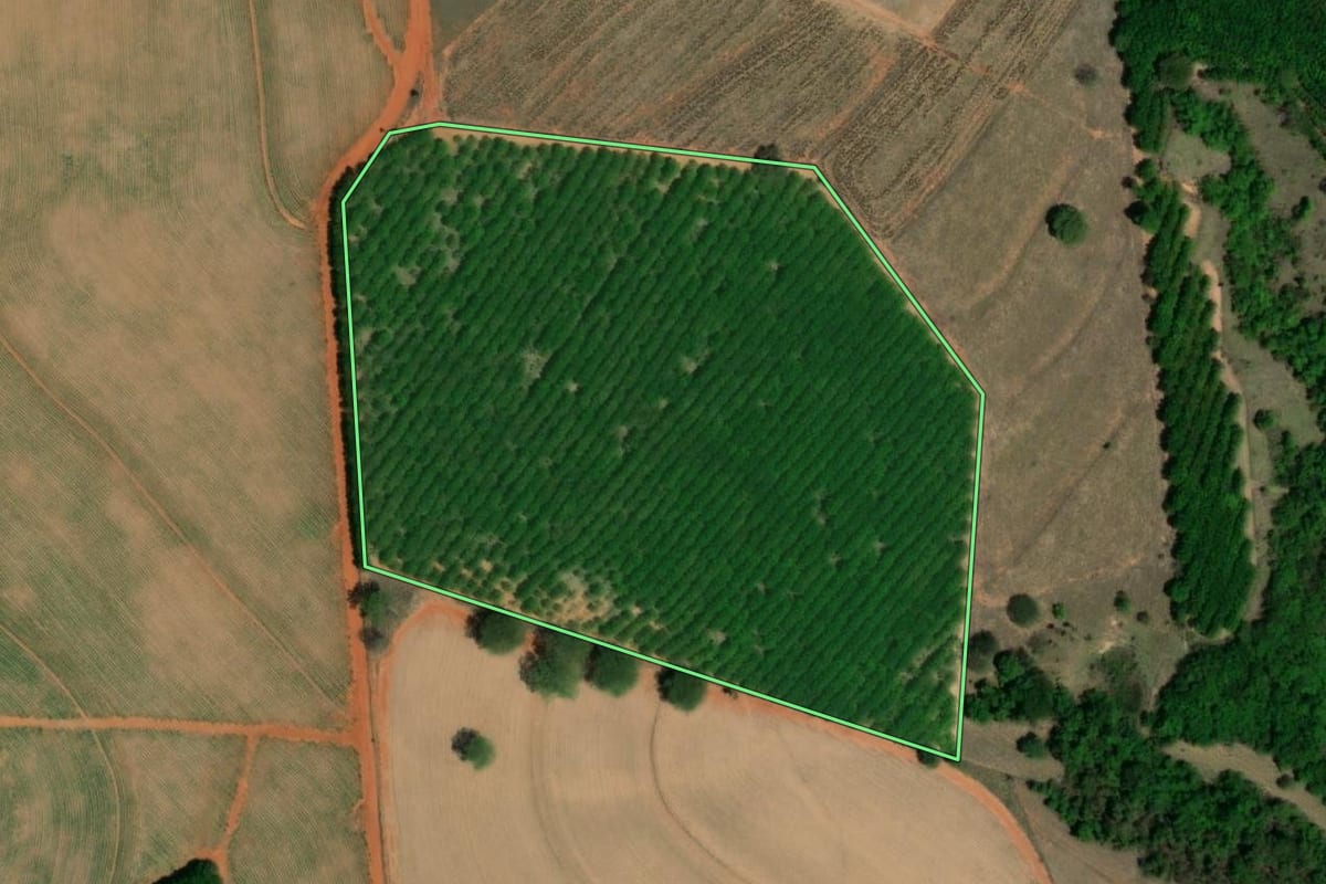 Imagem de satélite do imóvel rural em Tanabi (SP), com o contorno declarado no CAR desenhado por cima.