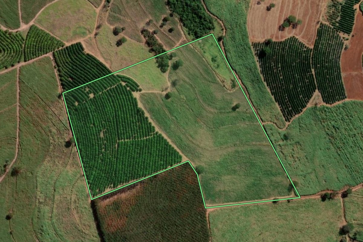 Imagem de satélite do imóvel rural em Tanabi (SP), com o contorno declarado no CAR desenhado por cima.