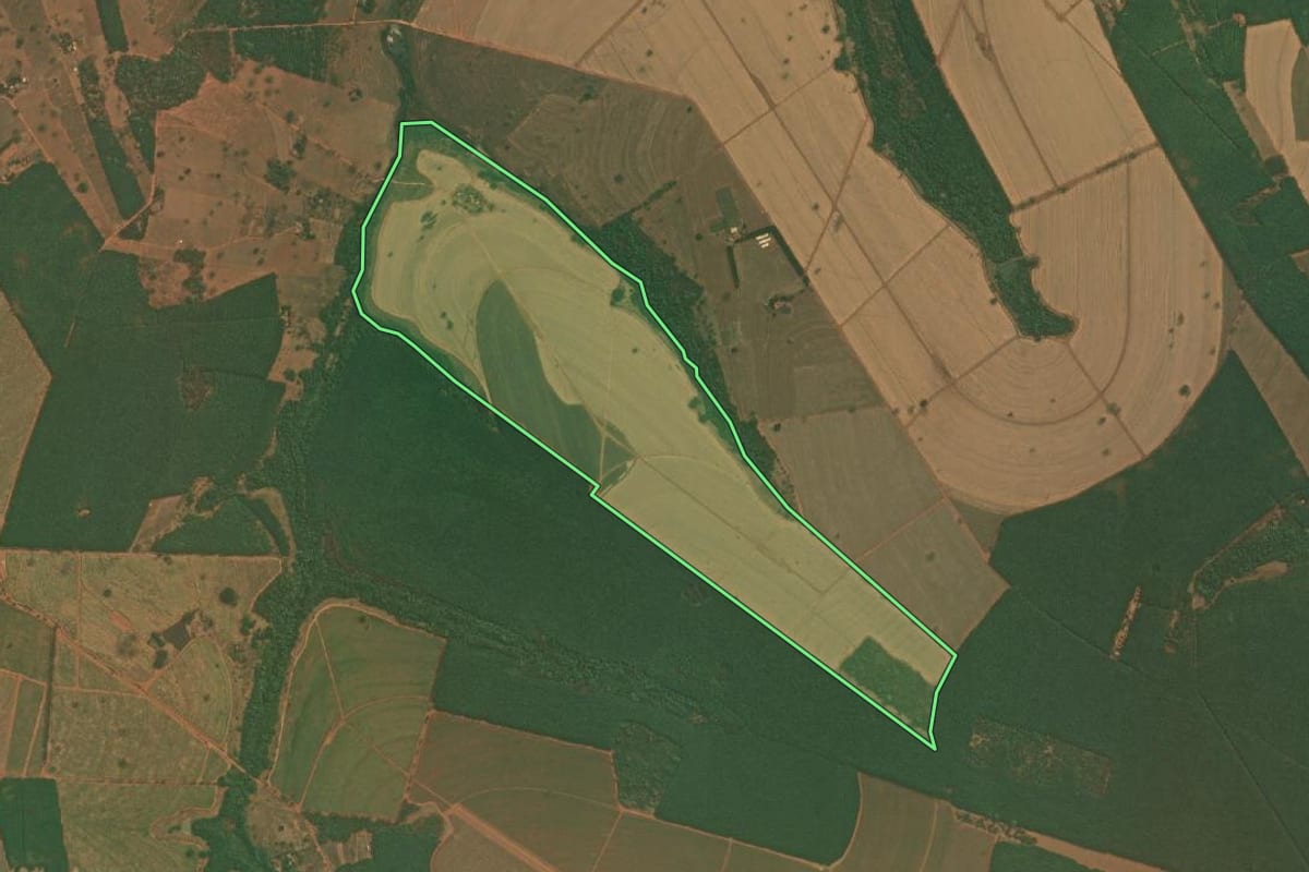 Imagem de satélite do imóvel rural em Tanabi (SP), com o contorno declarado no CAR desenhado por cima.