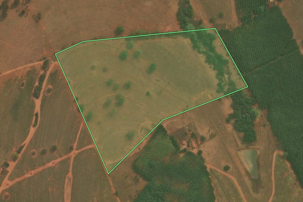 Imagem de satélite do imóvel rural em Tanabi (SP), com o contorno declarado no CAR desenhado por cima.