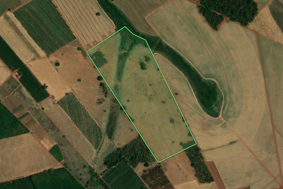 Imagem de satélite do imóvel rural em Tanabi (SP), com o contorno declarado no CAR desenhado por cima.