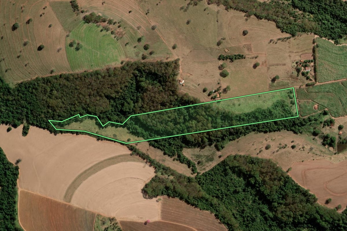 Imagem de satélite do imóvel rural em Tanabi (SP), com o contorno declarado no CAR desenhado por cima.