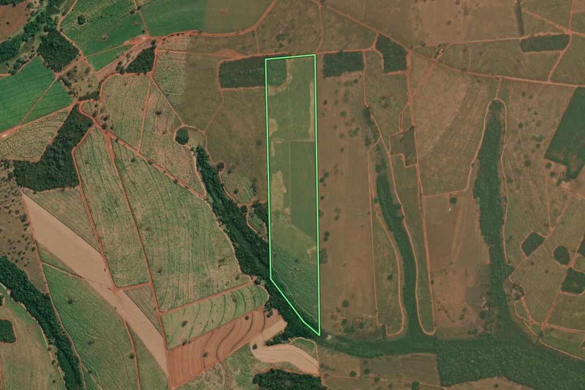 Imagem de satélite do imóvel rural em Tanabi (SP), com o contorno declarado no CAR desenhado por cima.