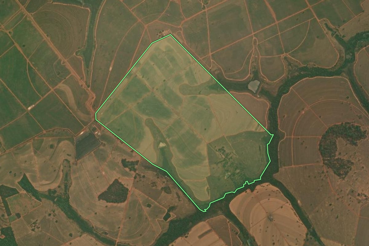 Imagem de satélite do imóvel rural em Tanabi (SP), com o contorno declarado no CAR desenhado por cima.