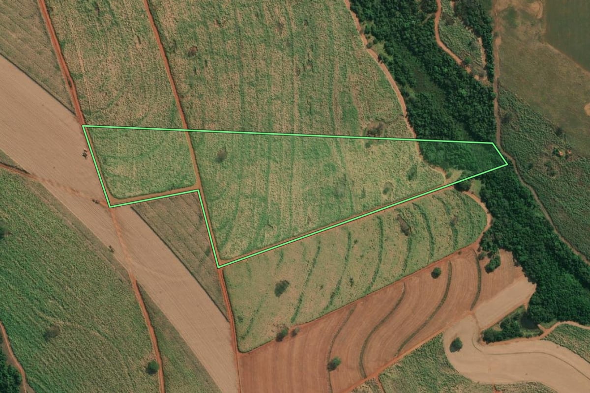 Imagem de satélite do imóvel rural em Tanabi (SP), com o contorno declarado no CAR desenhado por cima.