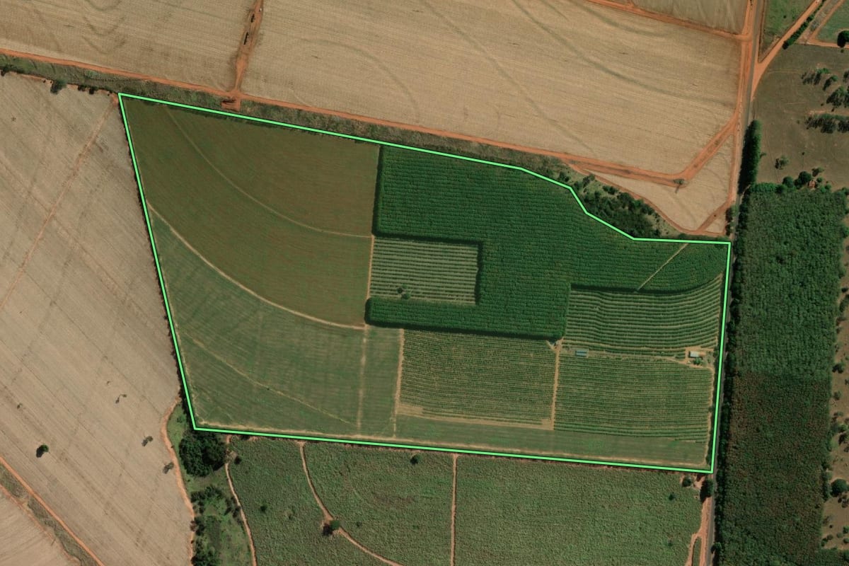 Imagem de satélite do imóvel rural em Tanabi (SP), com o contorno declarado no CAR desenhado por cima.