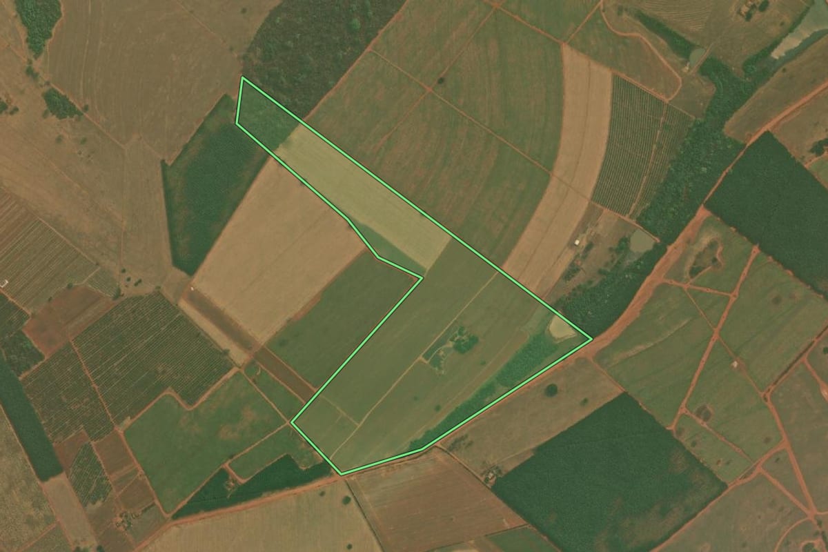 Imagem de satélite do imóvel rural em Tanabi (SP), com o contorno declarado no CAR desenhado por cima.