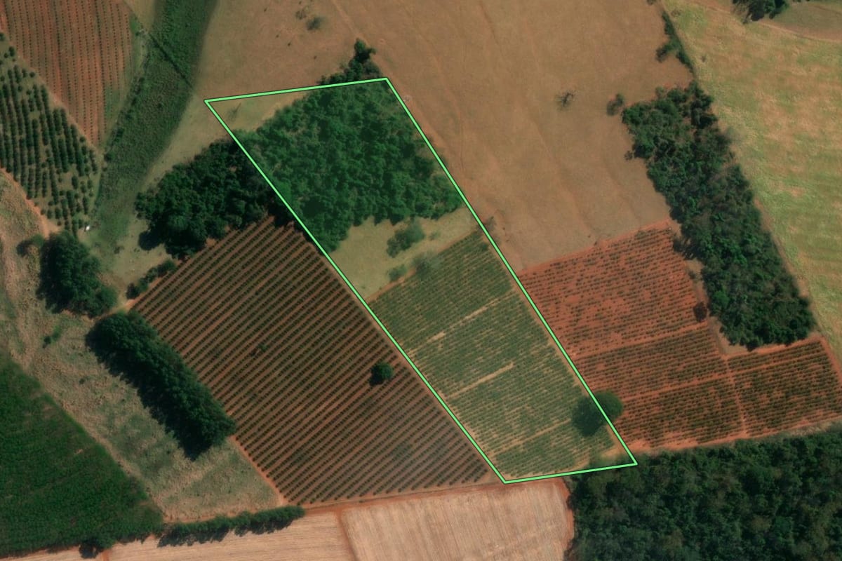 Imagem de satélite do imóvel rural em Tanabi (SP), com o contorno declarado no CAR desenhado por cima.