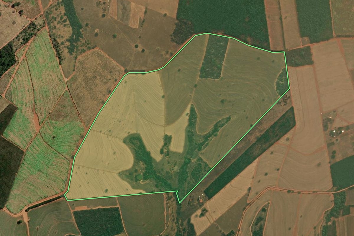 Imagem de satélite do imóvel rural em Tanabi (SP), com o contorno declarado no CAR desenhado por cima.