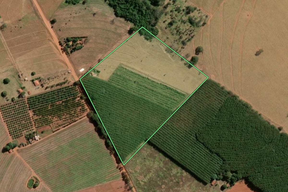 Imagem de satélite do imóvel rural em Tanabi (SP), com o contorno declarado no CAR desenhado por cima.