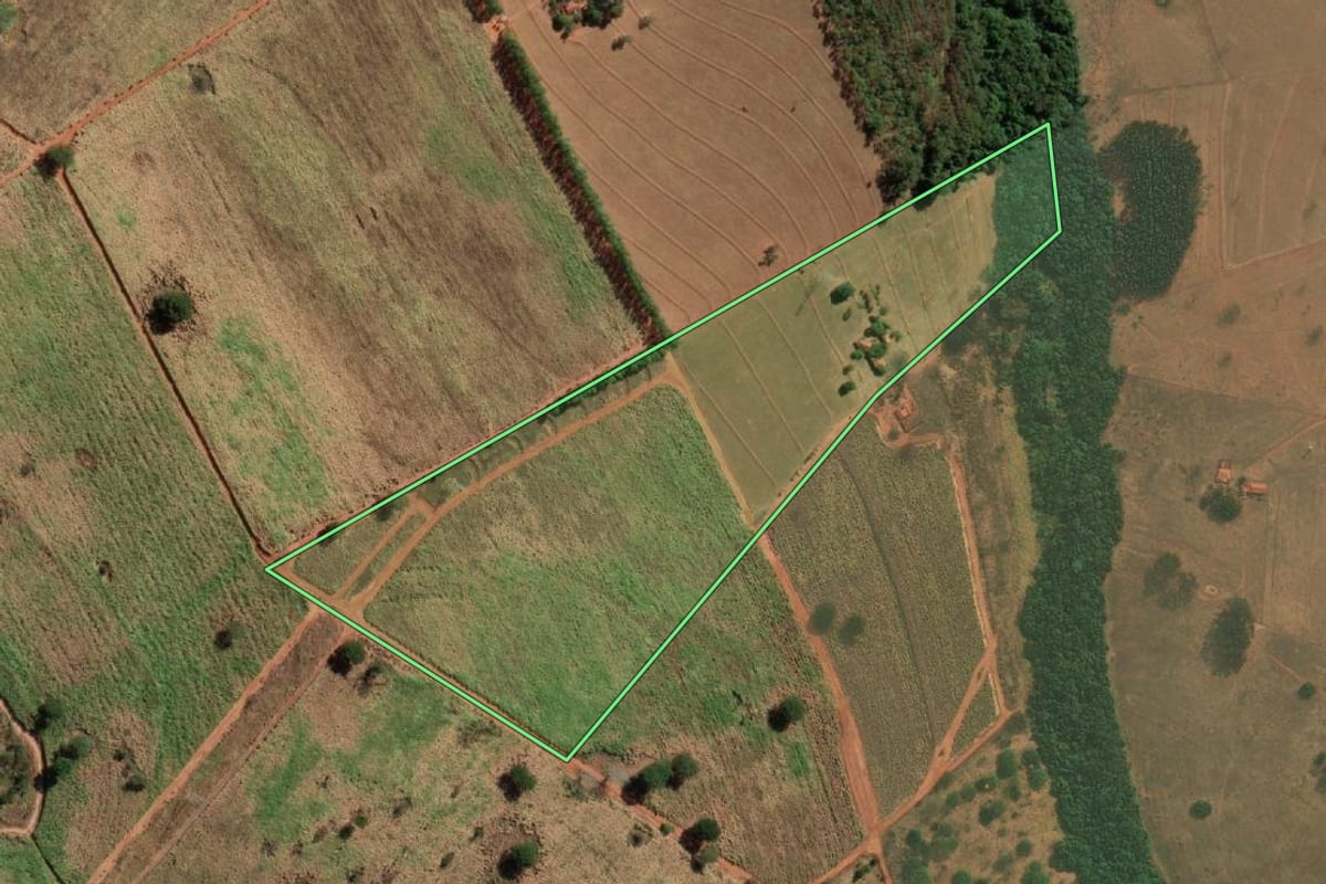 Imagem de satélite do imóvel rural em Tanabi (SP), com o contorno declarado no CAR desenhado por cima.