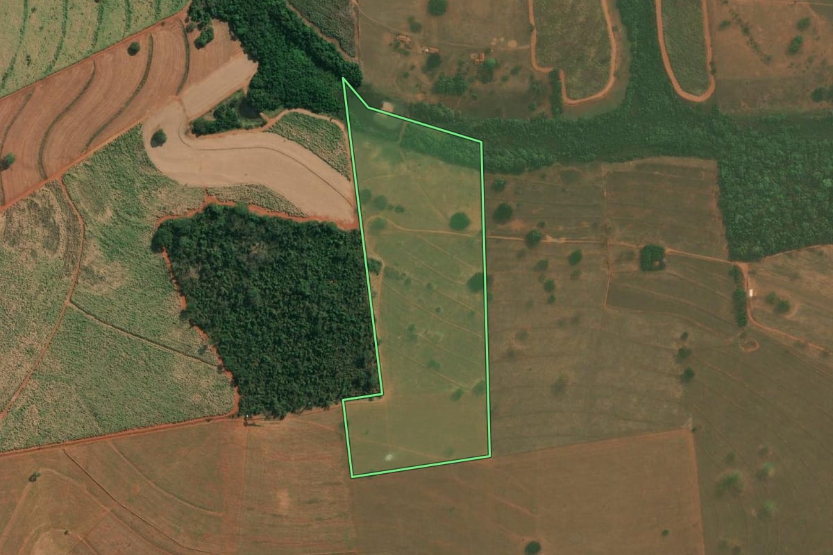 Imagem de satélite do imóvel rural em Tanabi (SP), com o contorno declarado no CAR desenhado por cima.