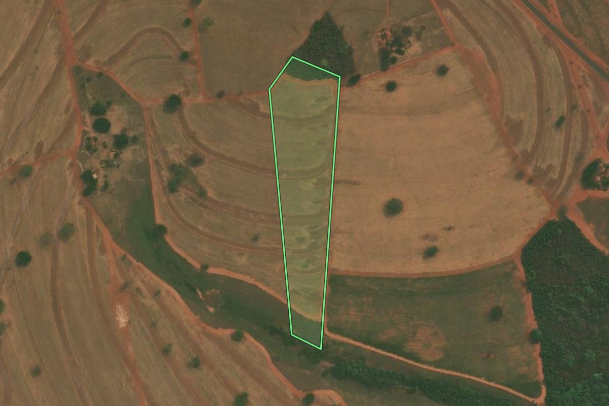 Imagem de satélite do imóvel rural em Tanabi (SP), com o contorno declarado no CAR desenhado por cima.