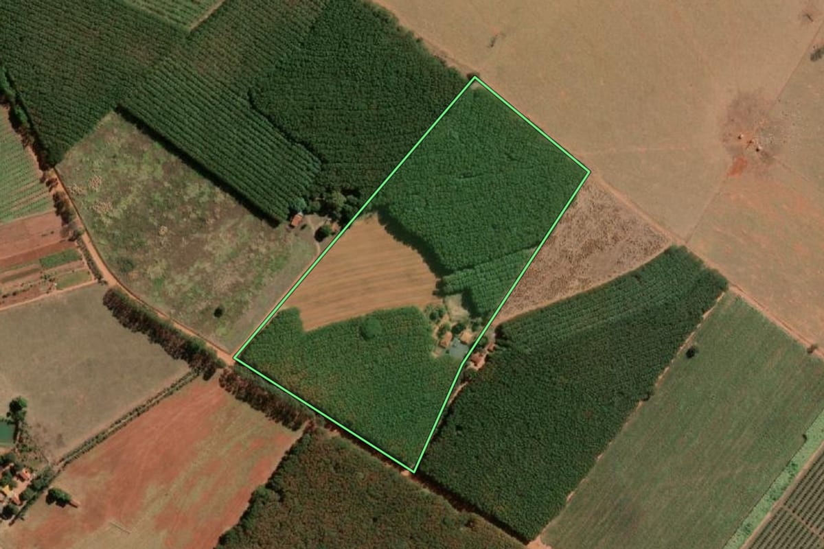 Imagem de satélite do imóvel rural em Tanabi (SP), com o contorno declarado no CAR desenhado por cima.