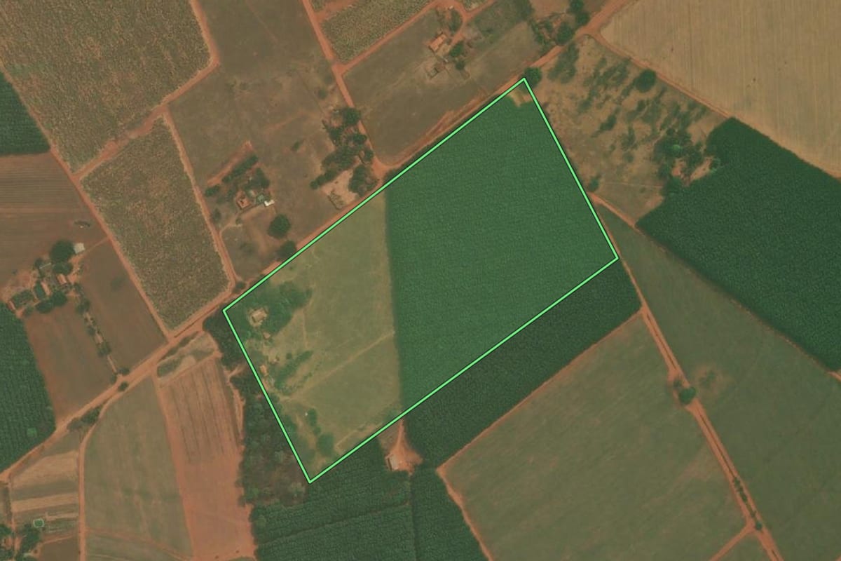 Imagem de satélite do imóvel rural em Tanabi (SP), com o contorno declarado no CAR desenhado por cima.
