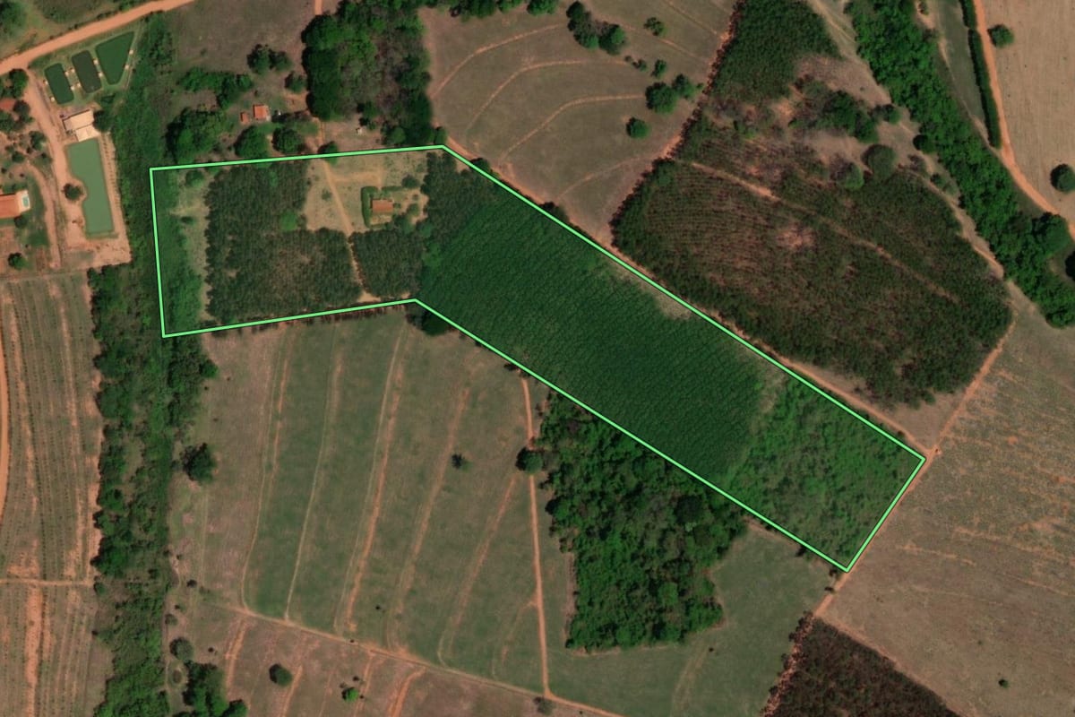 Imagem de satélite do imóvel rural em Tanabi (SP), com o contorno declarado no CAR desenhado por cima.
