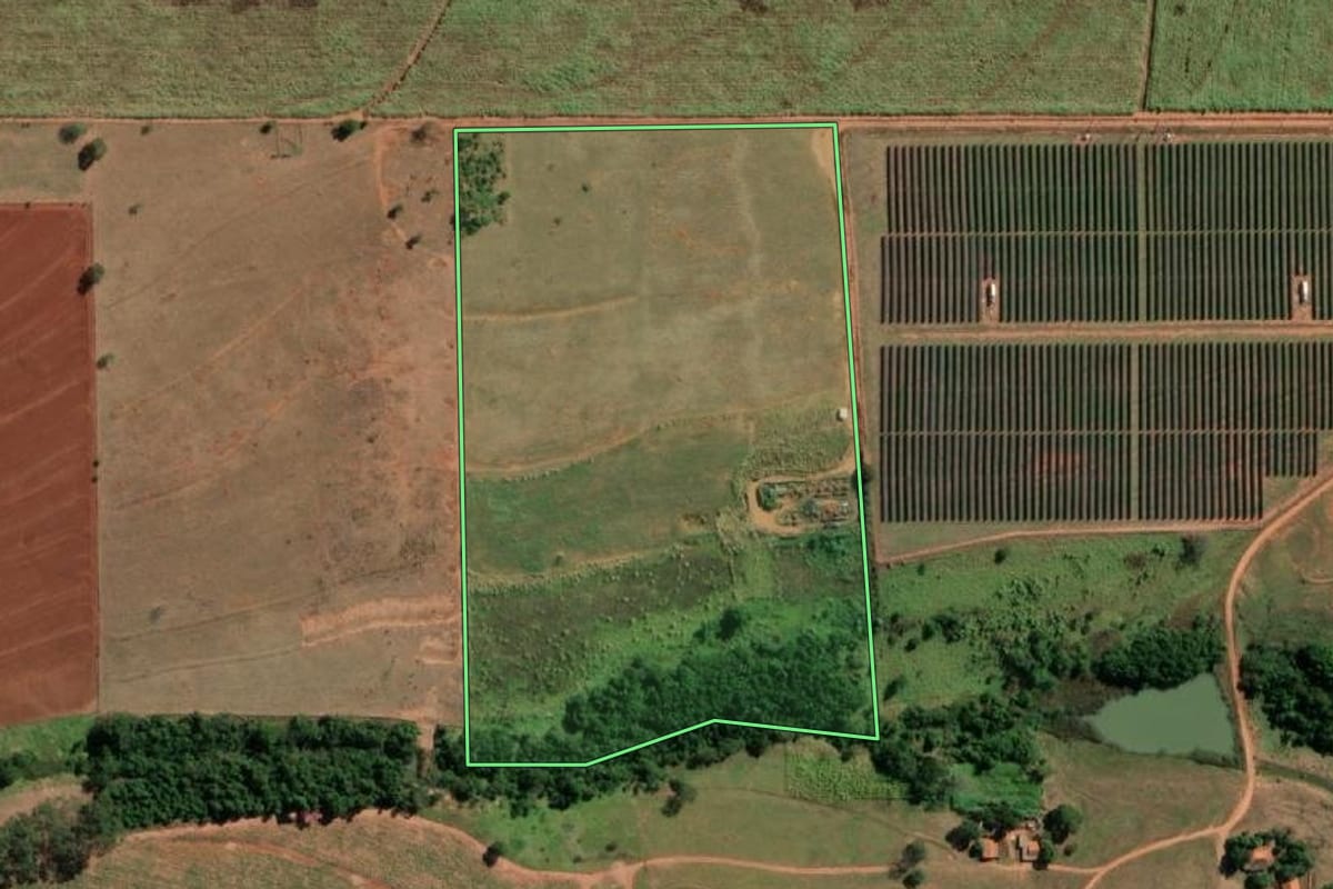 Imagem de satélite do imóvel rural em Tanabi (SP), com o contorno declarado no CAR desenhado por cima.