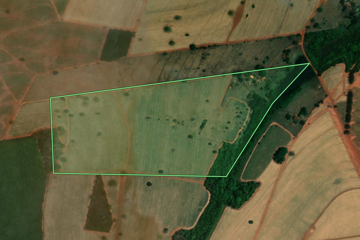 Imagem de satélite do imóvel rural em Tanabi (SP), com o contorno declarado no CAR desenhado por cima.