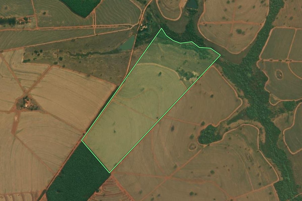 Imagem de satélite do imóvel rural em Tanabi (SP), com o contorno declarado no CAR desenhado por cima.