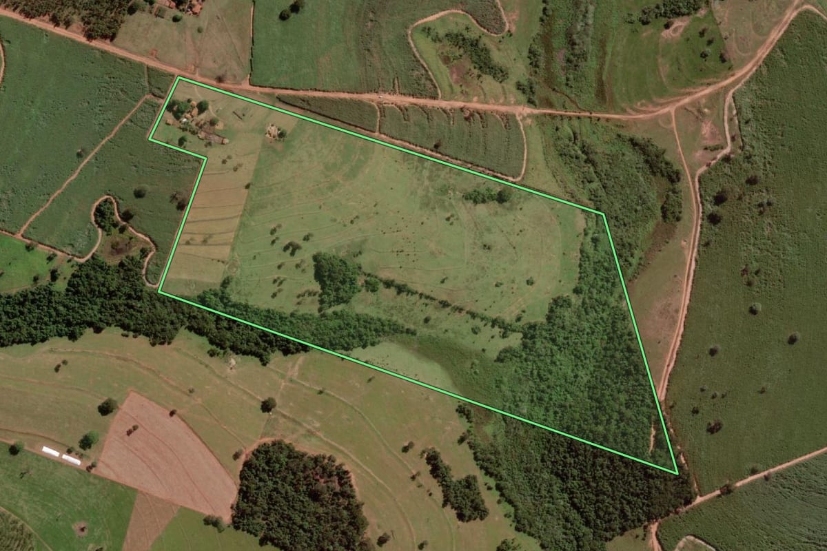 Imagem de satélite do imóvel rural em Tanabi (SP), com o contorno declarado no CAR desenhado por cima.