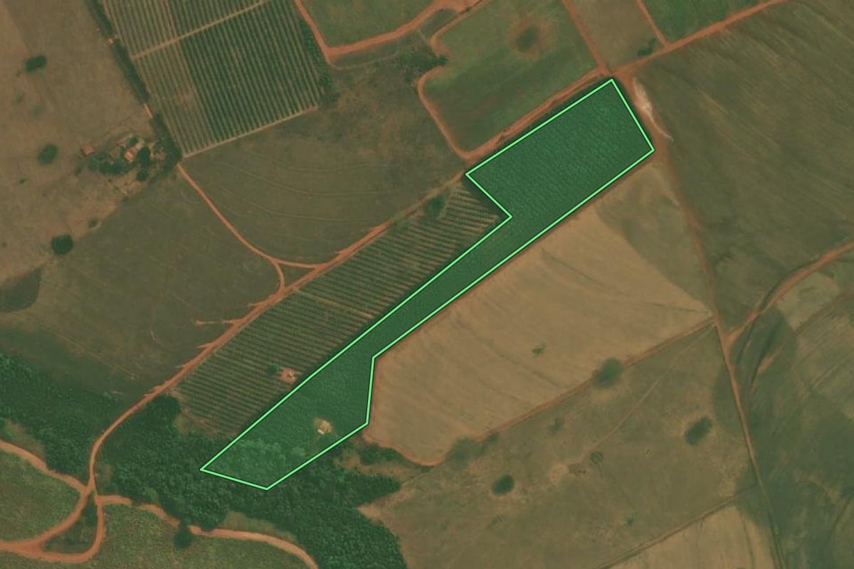Imagem de satélite do imóvel rural em Tanabi (SP), com o contorno declarado no CAR desenhado por cima.