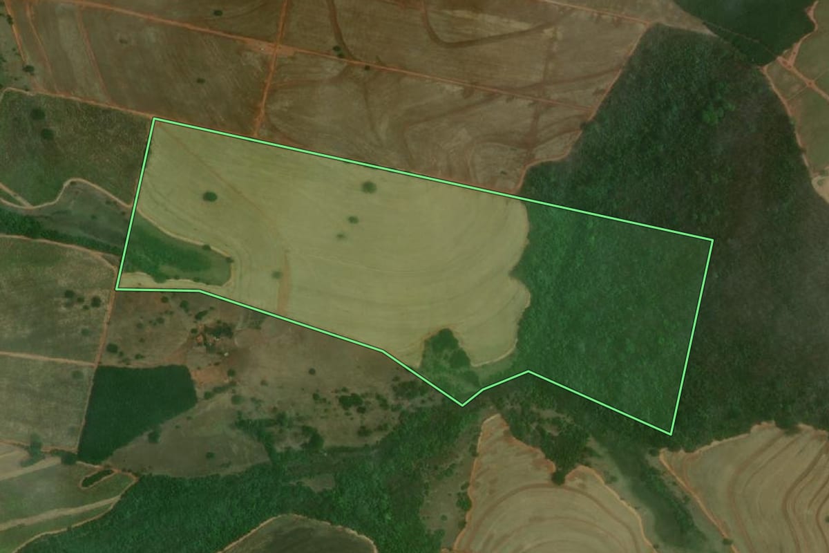 Imagem de satélite do imóvel rural em Tanabi (SP), com o contorno declarado no CAR desenhado por cima.