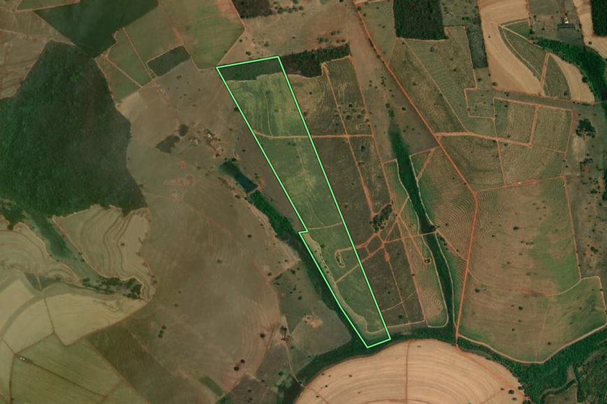 Imagem de satélite do imóvel rural em Tanabi (SP), com o contorno declarado no CAR desenhado por cima.