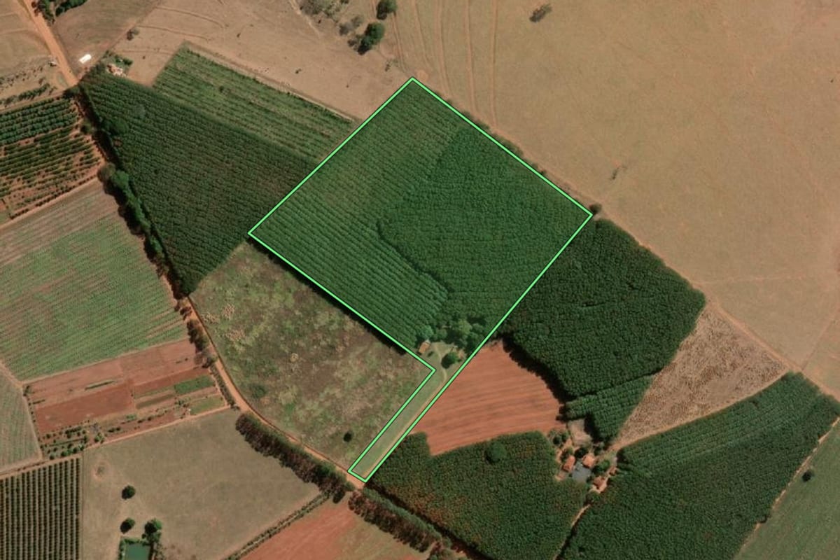 Imagem de satélite do imóvel rural em Tanabi (SP), com o contorno declarado no CAR desenhado por cima.