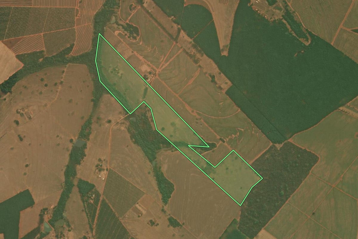 Imagem de satélite do imóvel rural em Tanabi (SP), com o contorno declarado no CAR desenhado por cima.