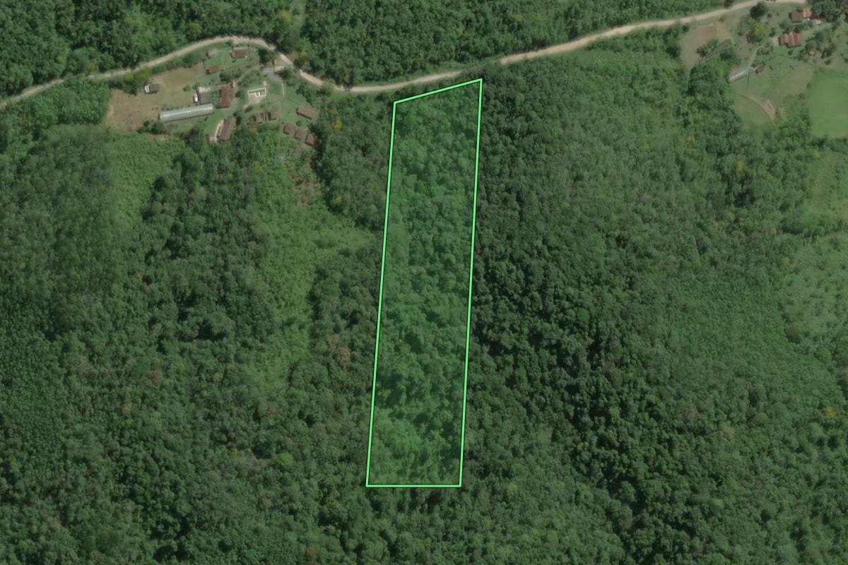 Imagem de satélite do imóvel rural em Tapiraí (SP), com o contorno declarado no CAR desenhado por cima.