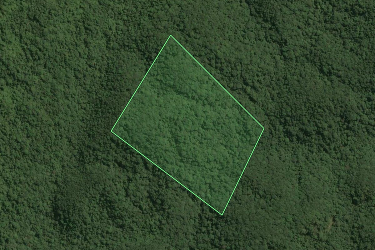 Imagem de satélite do imóvel rural em Tapiraí (SP), com o contorno declarado no CAR desenhado por cima.