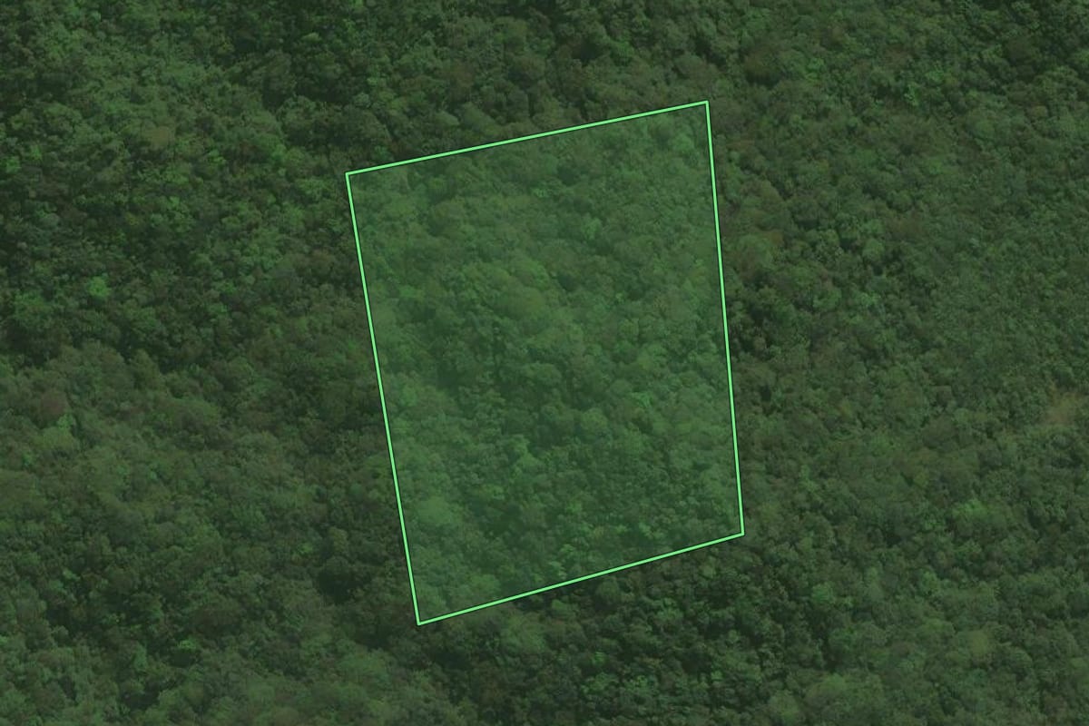 Imagem de satélite do imóvel rural em Tapiraí (SP), com o contorno declarado no CAR desenhado por cima.