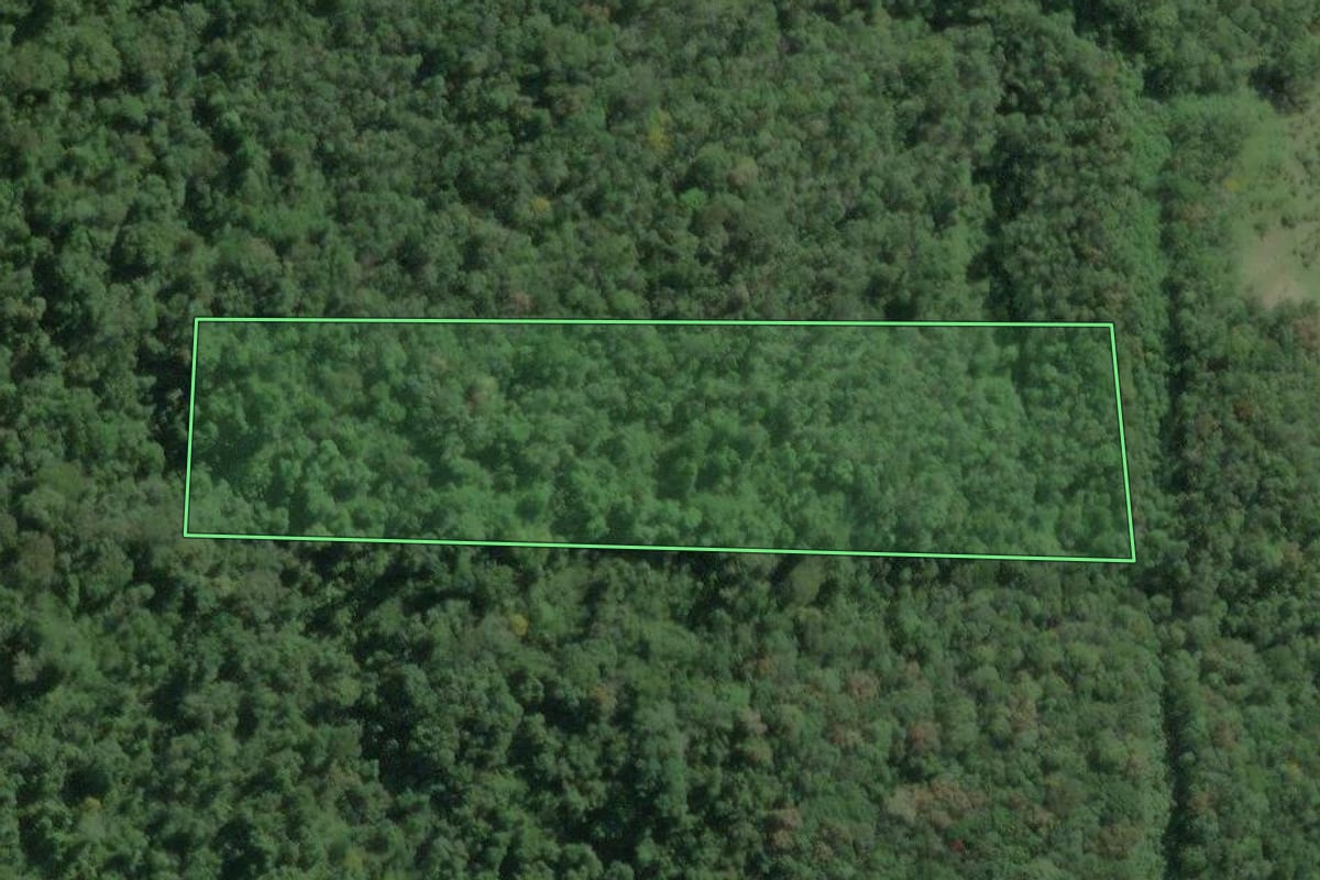 Imagem de satélite do imóvel rural em Tapiraí (SP), com o contorno declarado no CAR desenhado por cima.