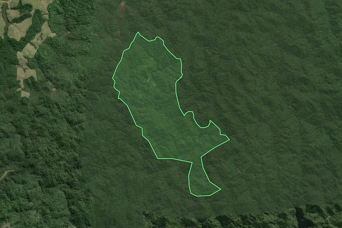 Imagem de satélite do imóvel rural em Tapiraí (SP), com o contorno declarado no CAR desenhado por cima.
