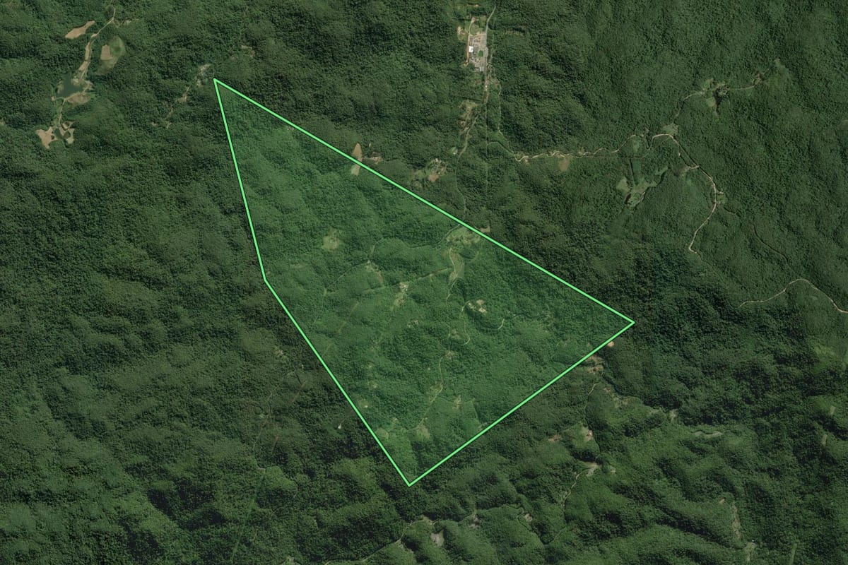 Imagem de satélite do imóvel rural em Tapiraí (SP), com o contorno declarado no CAR desenhado por cima.