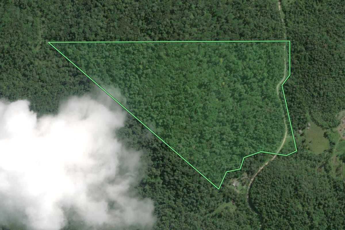 Imagem de satélite do imóvel rural em Tapiraí (SP), com o contorno declarado no CAR desenhado por cima.