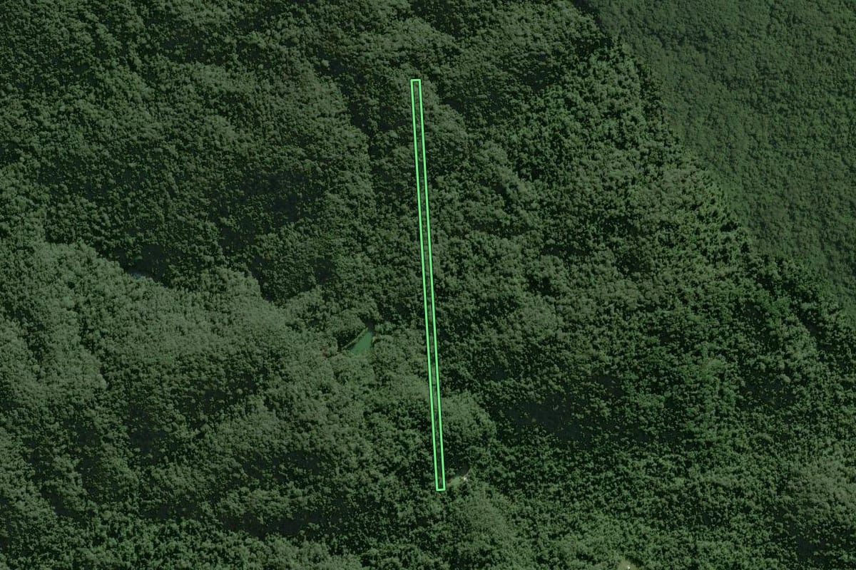 Imagem de satélite do imóvel rural em Tapiraí (SP), com o contorno declarado no CAR desenhado por cima.