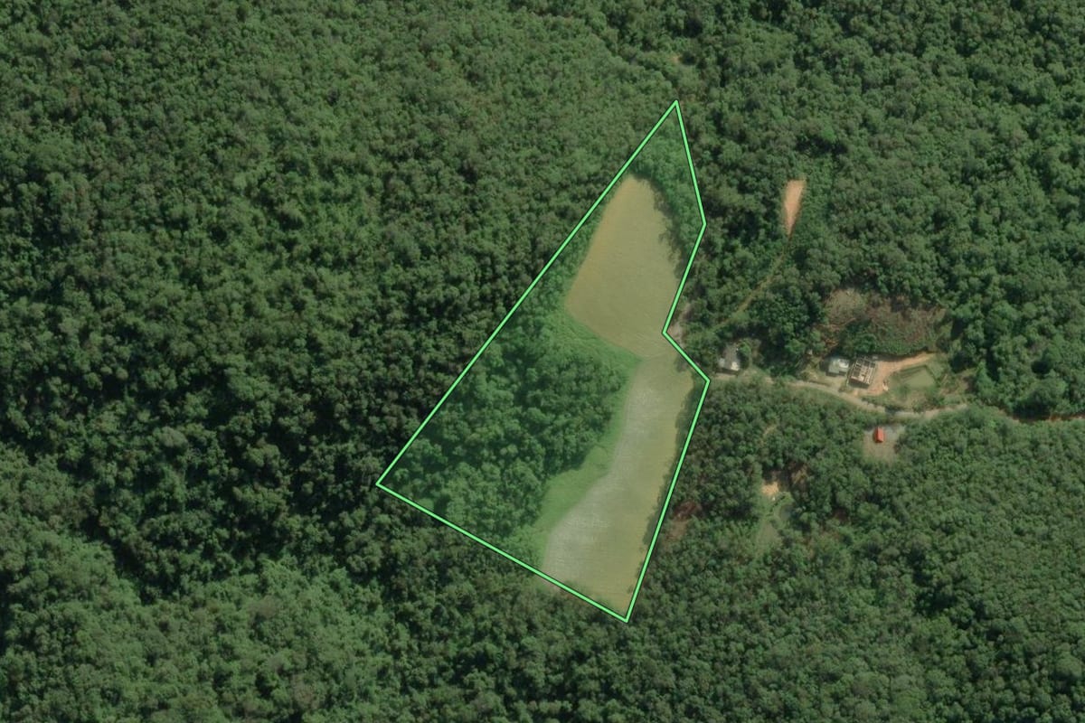 Imagem de satélite do imóvel rural em Tapiraí (SP), com o contorno declarado no CAR desenhado por cima.