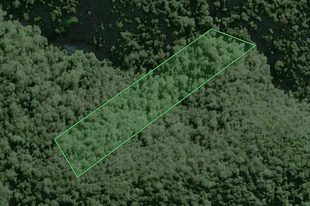 Imagem de satélite do imóvel rural em Tapiraí (SP), com o contorno declarado no CAR desenhado por cima.