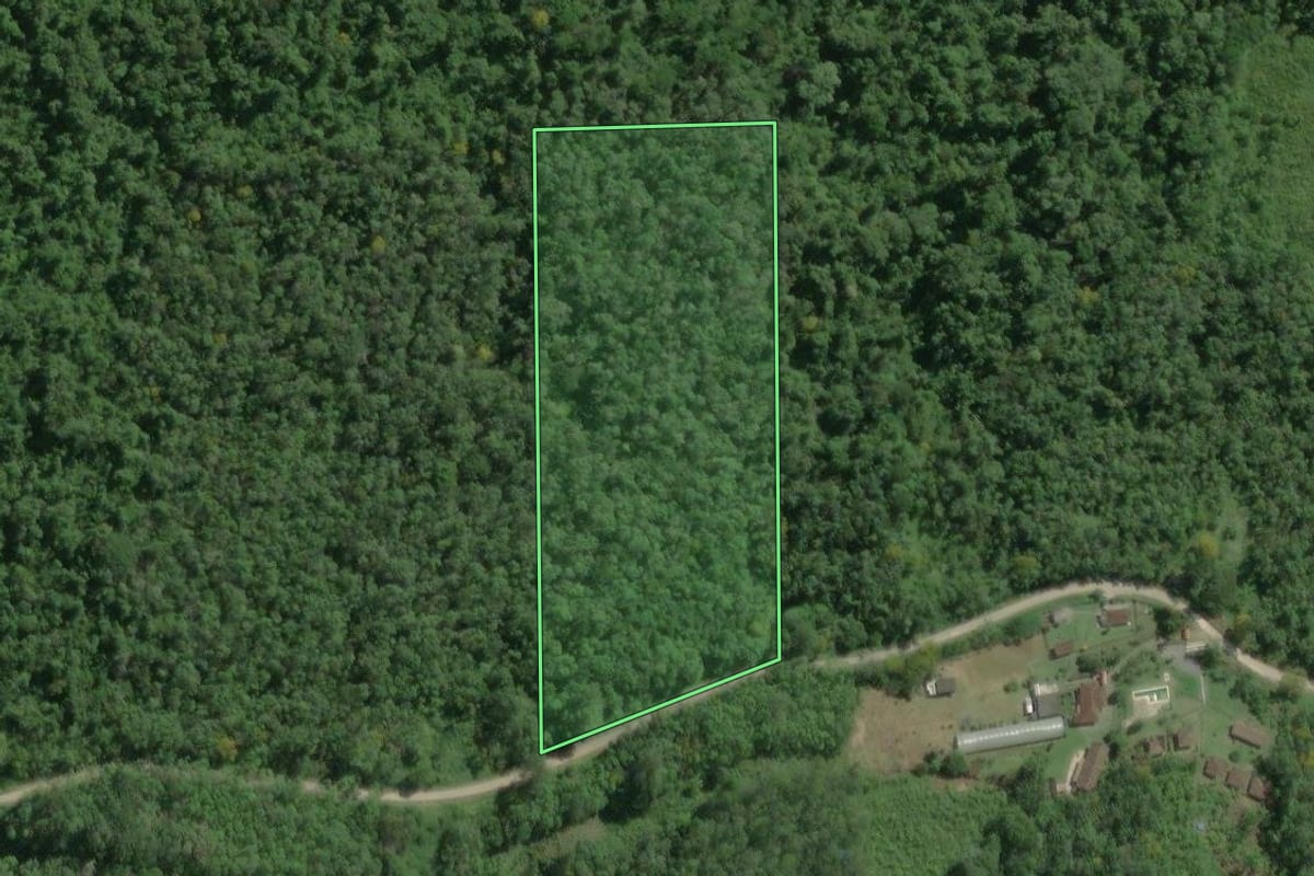 Imagem de satélite do imóvel rural em Tapiraí (SP), com o contorno declarado no CAR desenhado por cima.