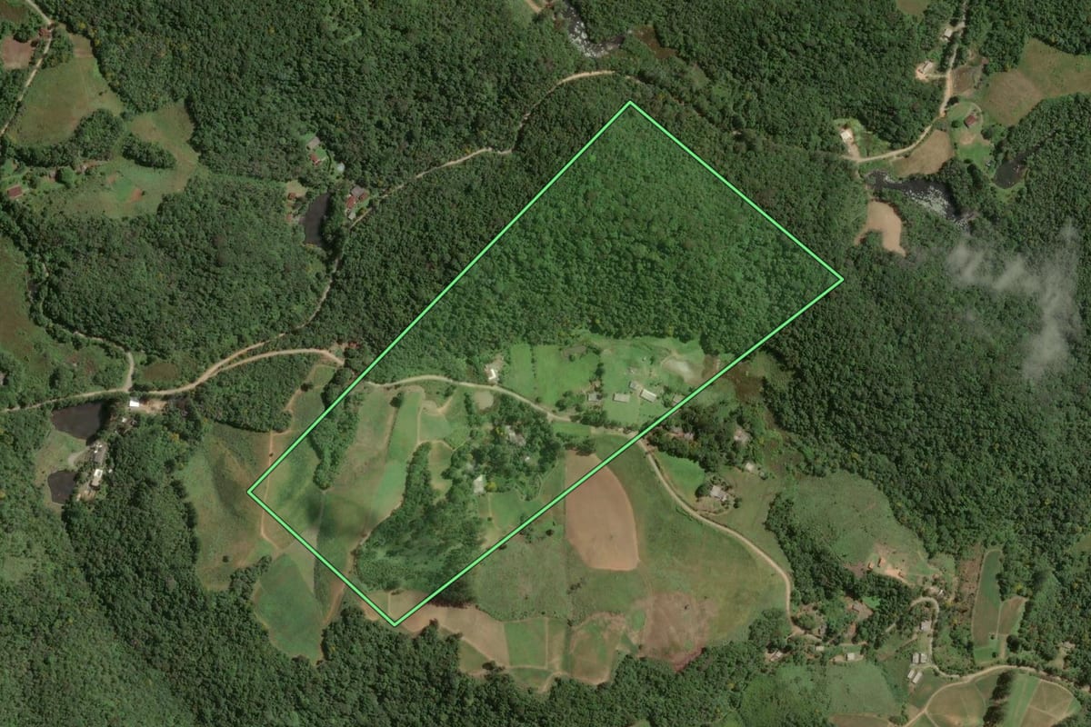 Imagem de satélite do imóvel rural em Tapiraí (SP), com o contorno declarado no CAR desenhado por cima.