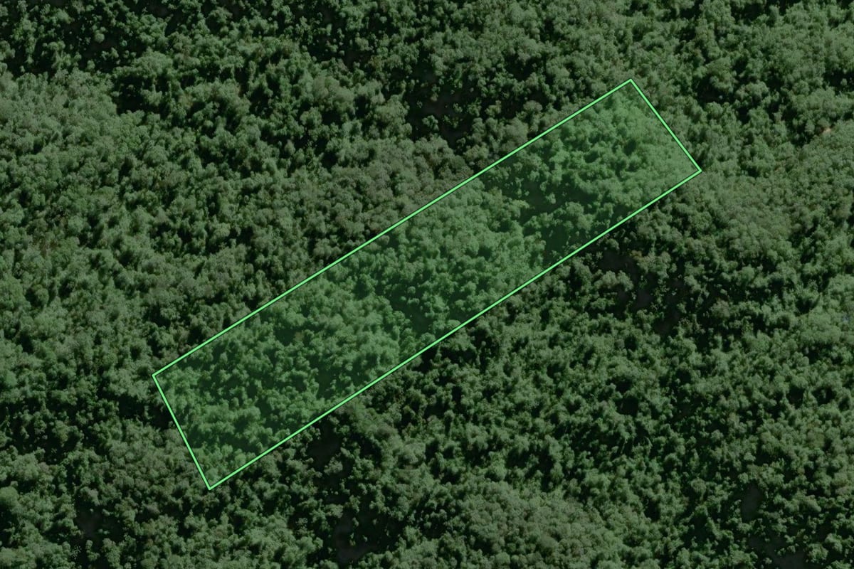 Imagem de satélite do imóvel rural em Tapiraí (SP), com o contorno declarado no CAR desenhado por cima.