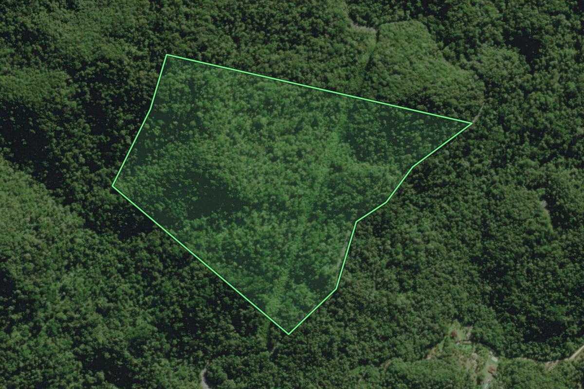 Imagem de satélite do imóvel rural em Tapiraí (SP), com o contorno declarado no CAR desenhado por cima.