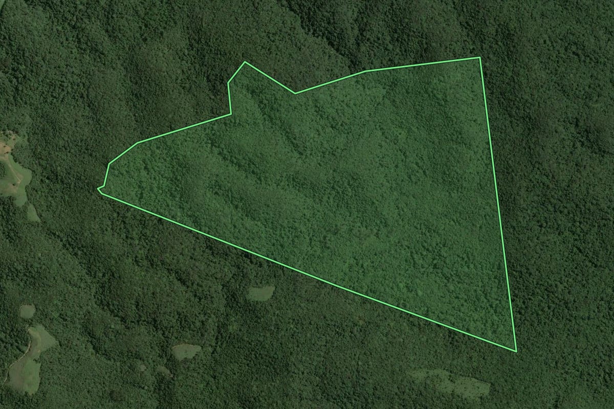 Imagem de satélite do imóvel rural em Tapiraí (SP), com o contorno declarado no CAR desenhado por cima.