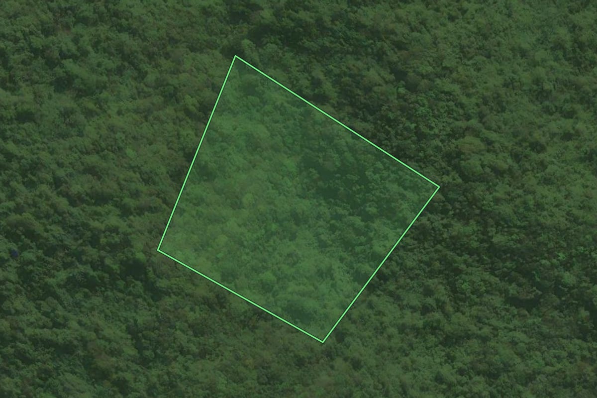 Imagem de satélite do imóvel rural em Tapiraí (SP), com o contorno declarado no CAR desenhado por cima.