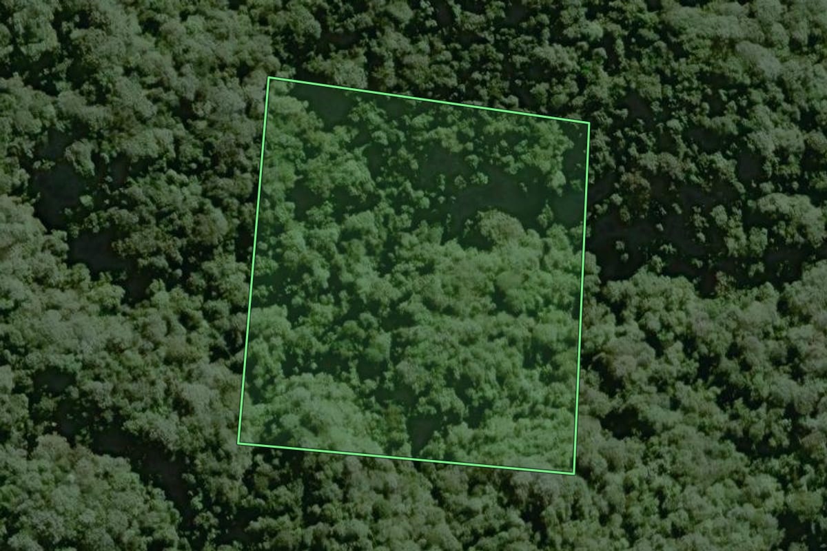 Imagem de satélite do imóvel rural em Tapiraí (SP), com o contorno declarado no CAR desenhado por cima.