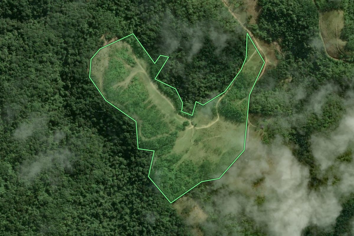 Imagem de satélite do imóvel rural em Tapiraí (SP), com o contorno declarado no CAR desenhado por cima.