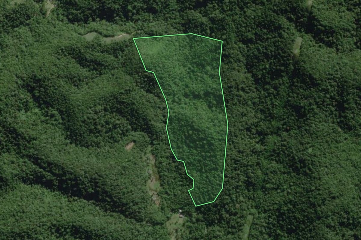 Imagem de satélite do imóvel rural em Tapiraí (SP), com o contorno declarado no CAR desenhado por cima.