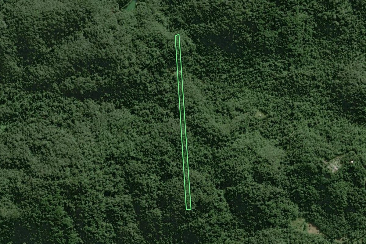Imagem de satélite do imóvel rural em Tapiraí (SP), com o contorno declarado no CAR desenhado por cima.