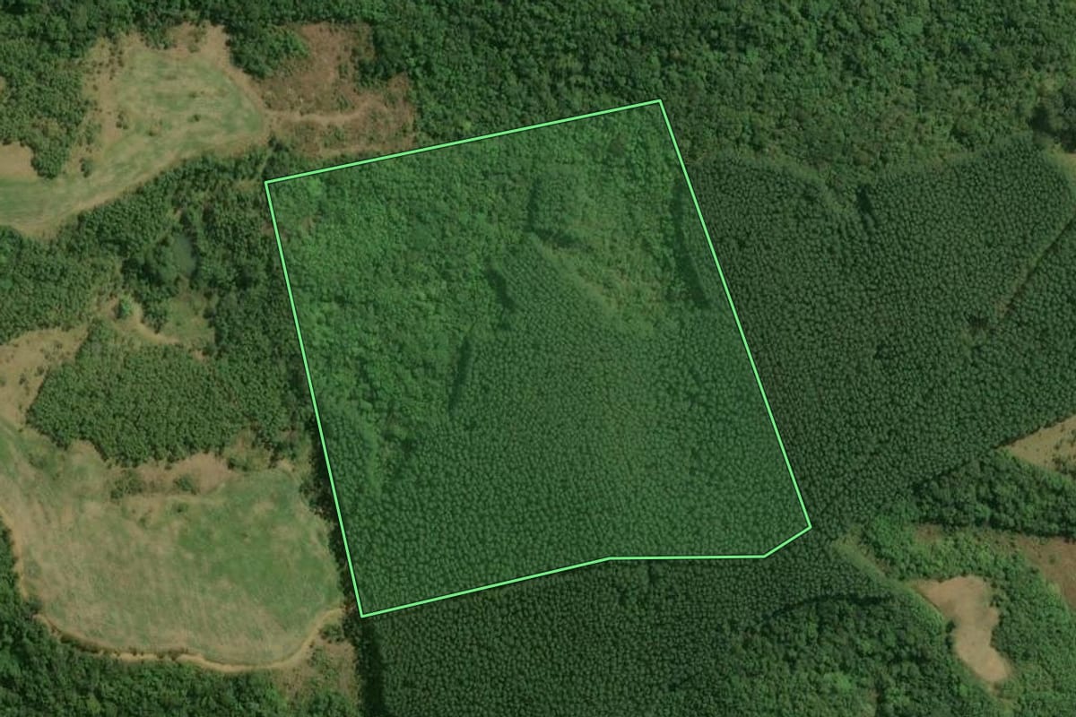 Imagem de satélite do imóvel rural em Tapiraí (SP), com o contorno declarado no CAR desenhado por cima.